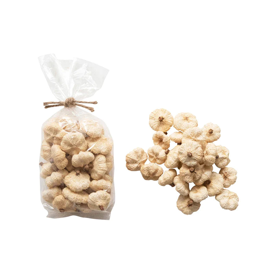 Dried White Peepal Pods
