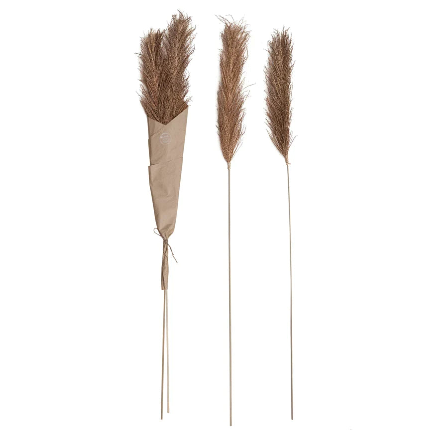 Dried Natural Date Palm Branch