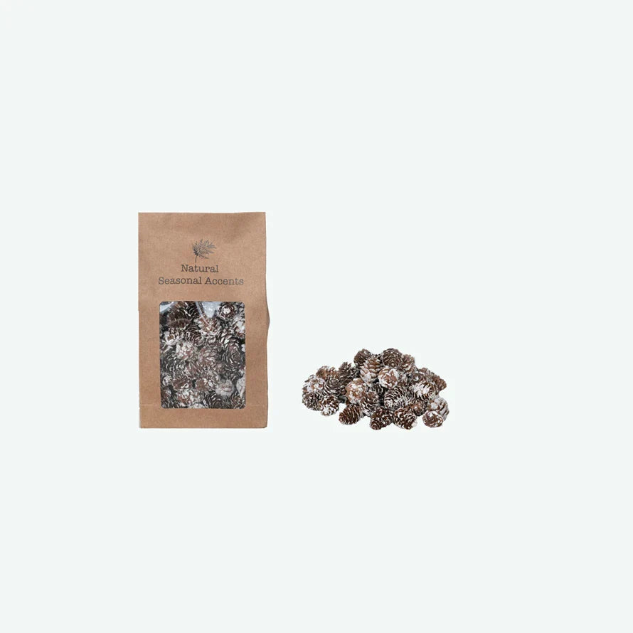 Dried Pinecones